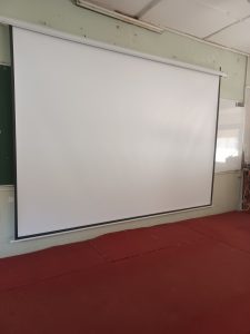 Projector Screen