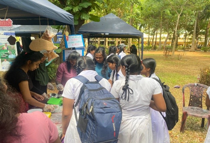 Stall 36 2024